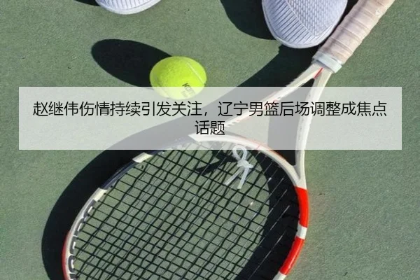 赵继伟伤情持续引发关注，辽宁男篮后场调整成焦点话题